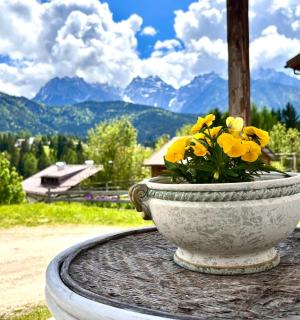La Baita - Vigo di Cadore - 6
