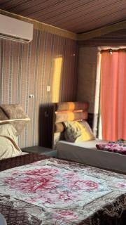 Moonrise Camp Wadi Rum - Wadi Rum - 3