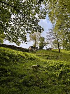Cabaña Pasiega Lo Macario -  - 3