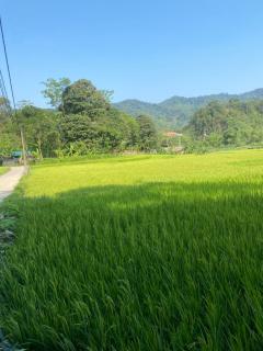 Hà Giang Lake View House - Lan Hung - 3