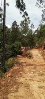 Cabaña los pinos - - 7