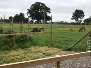 Reindeer Lodge at The Cotswold Reindeer Herd - Ampney Crucis - 1