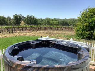 Vineyard Retreat - 7
