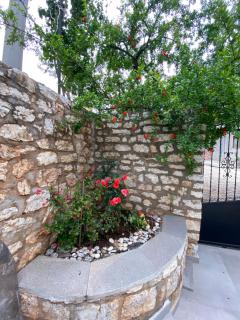 Eli's Home - Saranda - 9