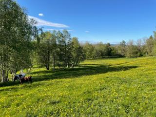 Torbjörntorp Betel - 9