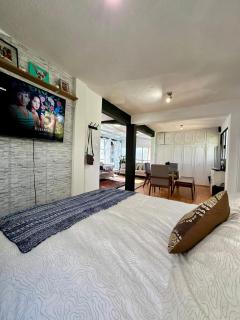 Beautiful Loft 10 minutes from AIFA -  - 2