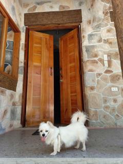 Rustic Stone House with Beach Access - Ilogmalino - 4