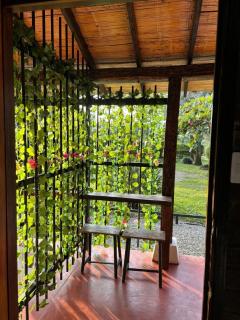 Casa de Campo Sao Paulo - La Tebaida - 7