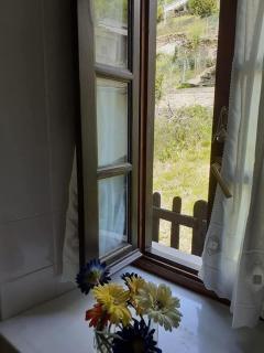 La Casina de Santulaya - Adralés - 5