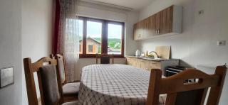 Lovely 1 bedroom within walking distance, views - Peje - 1