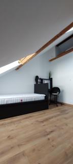 Alpine Stay Studio mansardé Chorrier Berriat Clinique Mutualiste - Grenoble - 7