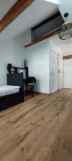 Alpine Stay Studio mansardé Chorrier Berriat Clinique Mutualiste - Grenoble - 3