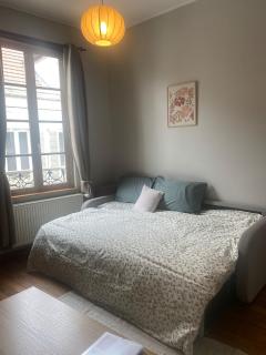 Appartement de charme au cœur du centre ville historique - Auxerre - 5