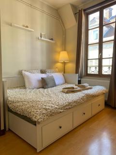 Appartement de charme au cœur du centre ville historique - Auxerre - 4