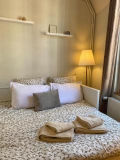 Appartement de charme au cœur du centre ville historique - Auxerre - 3