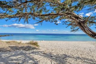 VILLA IN FRONT OF CALA D'AMBRA, 50 steps from the beach - San Teodoro - 8