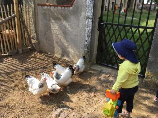 Laufenten Loft - Gutshof Dobschütz Bauernhof - 6