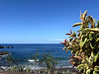 Exclusive frontline one bedroom apartment - Puerto de Santiago - 7