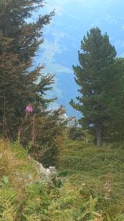 Apart Tiefenbach - 1