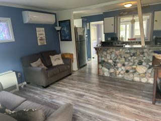 The Dragonfly - Elk Rapids - 1