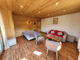 Appartement centre-station avec balcons, 3 étoiles, proche commerces et pistes, 5-6 pers. - FR-1-598-106 - Les Gets - 1