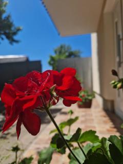 Kuća za odmor Holiday house AKORD, Marindvor - Požega - 2