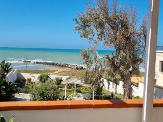 Brezza di Mare - Zingarello - 2