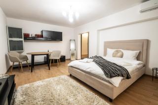 Modern & Cozy Studio - Near Herastrau Park - Bucarest - 4