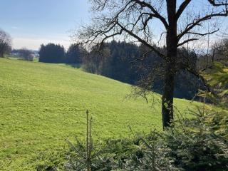 Monteurwohnung Kollmitzberg - - 0