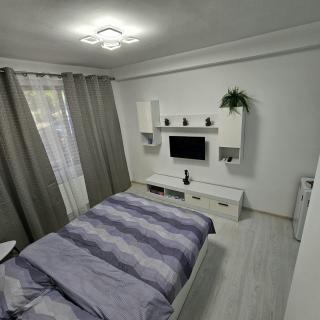 Apartament UTA - Arad - 0