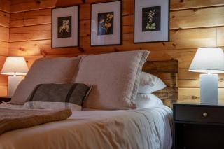Alpine Cabin - Bellaire - 4