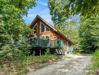 Alpine Cabin - Bellaire - 0