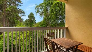 Heron's Watch 6207 - 4