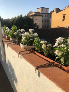 Cozy Central Apartment with Patio - Firenze - 8