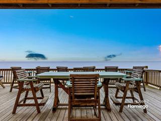 Dragonfly & Flamingo - 1