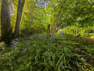 Bell Nook- Shepherd's hut with a spacious wood-fired hot tub - Tonbridge - 1