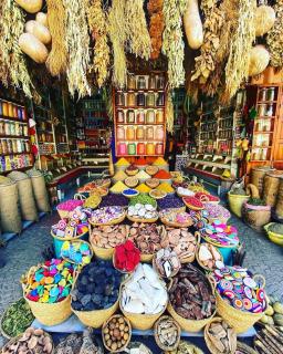 The Garden of Kings - Marrakech - 2