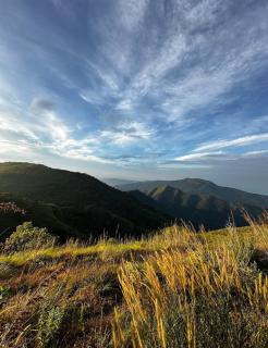 Wild Jacket - Vagamon - 9