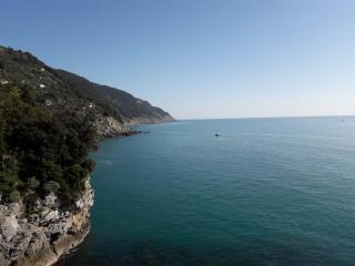 Among the olive trees of Tellaro - Tellaro - 0