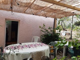 Among the olive trees of Tellaro - Tellaro - 2