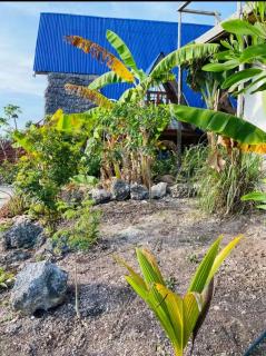 Michamvi mangrove cabin - Michamvi - 6