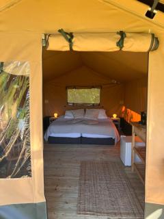 Een luxe safari tent - Rijsenhout - 9