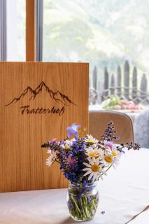 Tratterhof Apt Eidechsspitze - Vandoies - 7