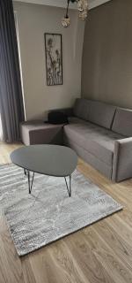 Todd - Belgrado - 3