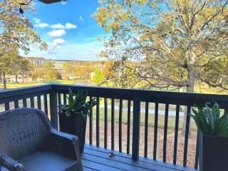 Indoor Pool/Bunk/2 King/Arcade/Foosball/Hot tub! - Branson - 8