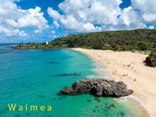 Turtle Bay Estates 146 West - 5