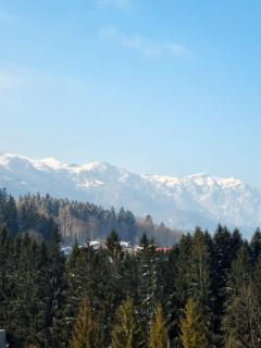 Vintage Home - Sinaia - 9