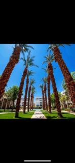 Royal 9 - Eilat - 8