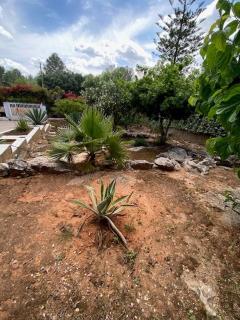 Villa Célia Alzira - Alzira - 5