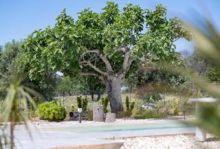 Villa Myricae by Bianco Puglia Vacanze - San Vito dei Normanni - 5